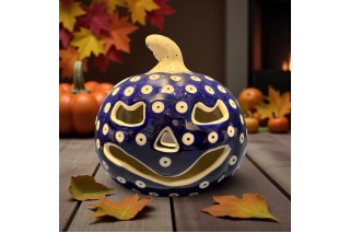 Bunzlau pompoen 47 70AX Pompoenen